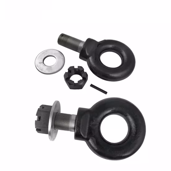 Forged Alloy Steel Pintle Ring Lunette Eye with Shank