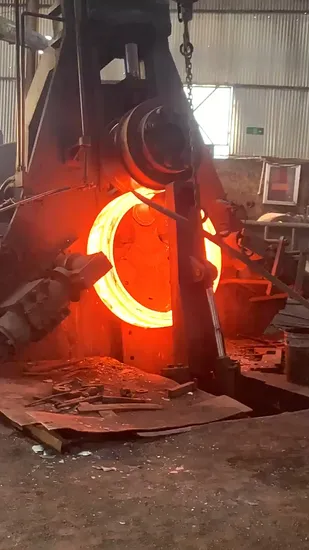 Hot Forging/Safety Ring/D